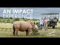 Mantis Rhino Conservation Experience
