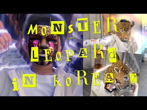 ฝึกวิชาแปรงร่างขั้นสุด monster leopard  in korea by monstereveryday
