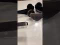 Brass Rose Mortise Handle for Doors