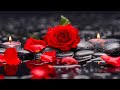 Relaxing Music, Meditation, Healing, Reiki Music, Stress Relief, Zen, Study, Spa, Sleep Music, ☯2010