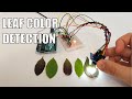 Color Sensor and AgTech Applications Quiz