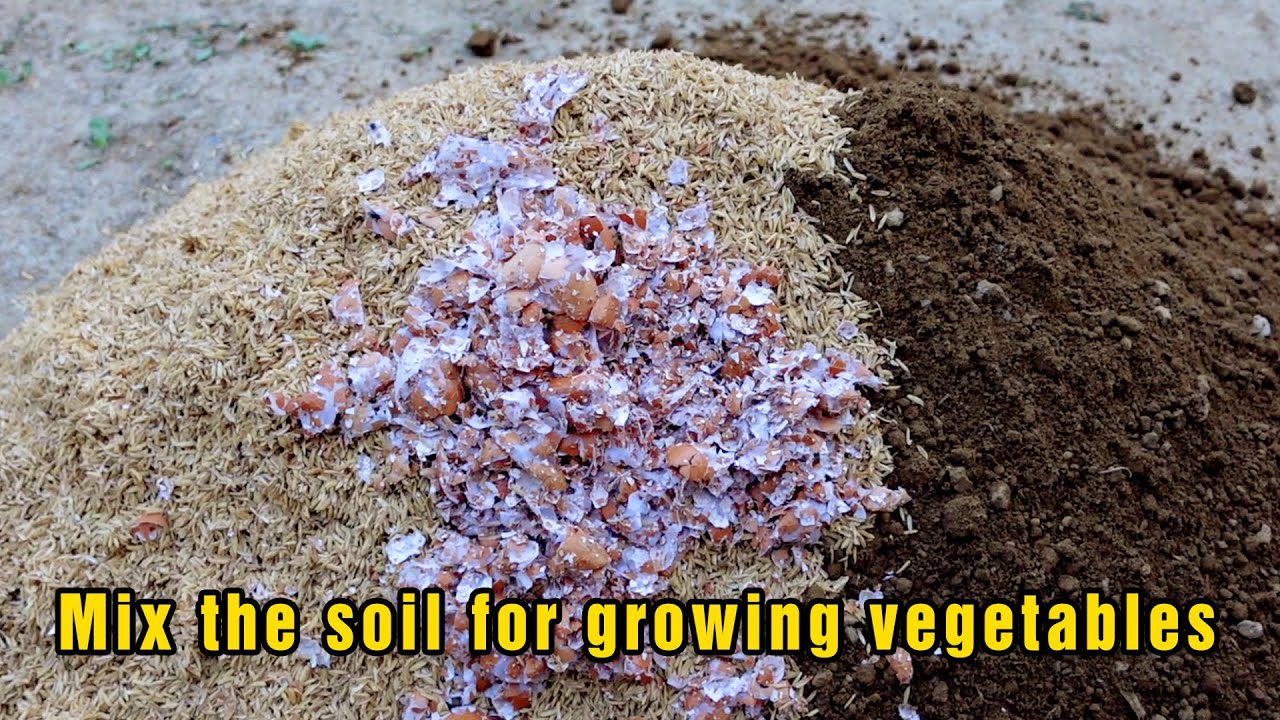 How I mix the soil to grow vegetables at home for high yield - YouTube