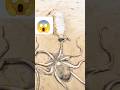 🐙 Going inside bottle | asmr short #letswatch #trending #feedshorts