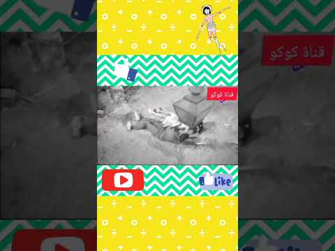 ناهد شريف بحب ده 