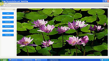 A Wavelet Laplace Variational Technique for Image Deconvolution and Inpainting