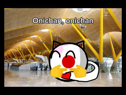 ¡Incidente en el aeropuerto del Vaticano!#countryballs #humor #voidmemes