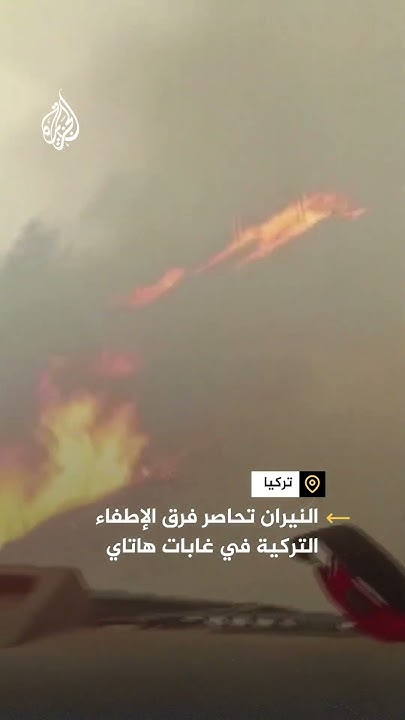            
 - نشر قبل 10 دقيقة