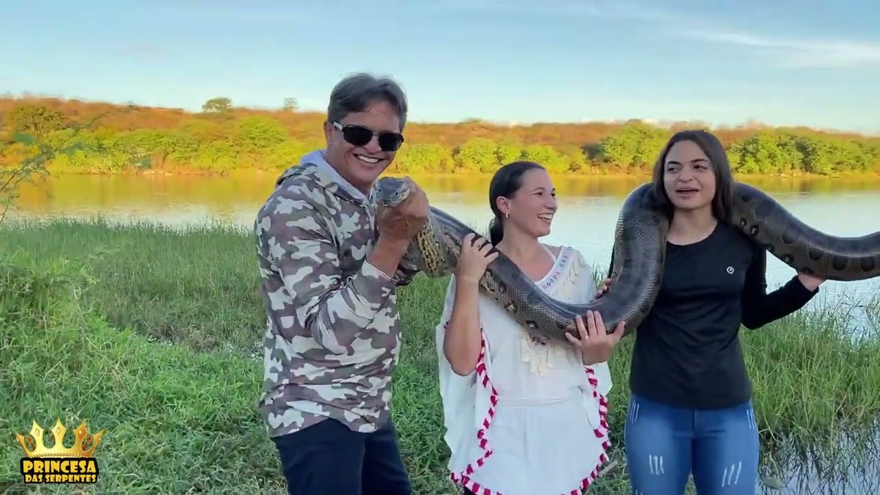 nossa princesa e a temida sucuri