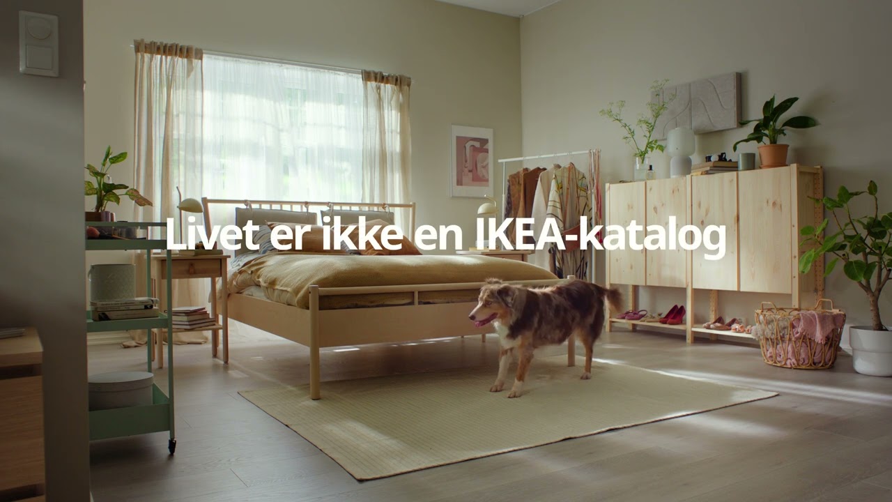 Livet er ikke en IKEA-katalog - Hund | IKEA Norge