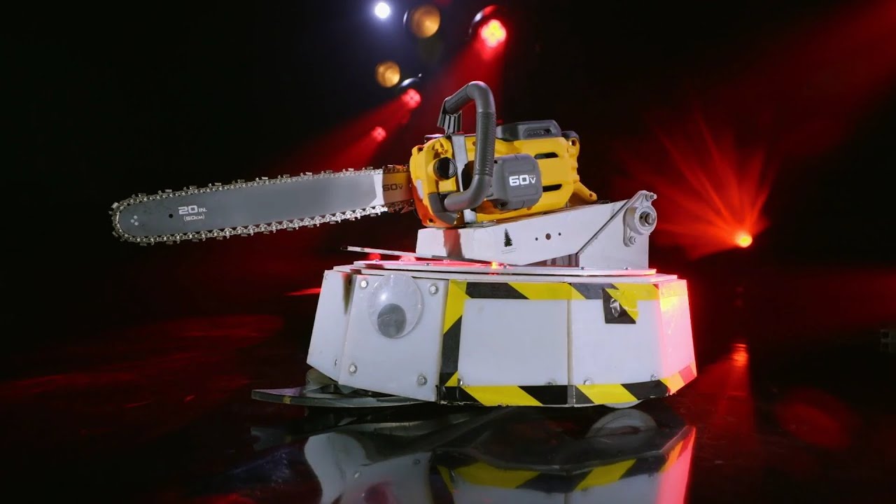 Panel debates Panty Fusion - real or fake - you tell us in comments! 