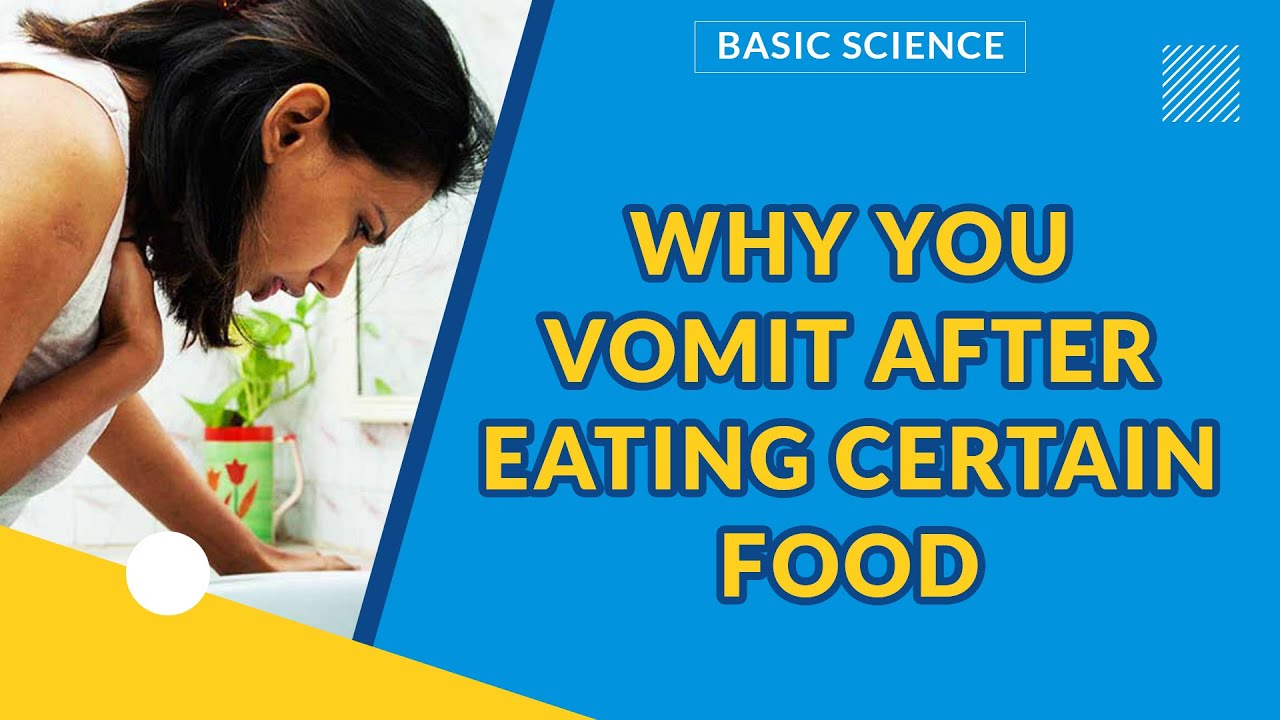 FACTORS AFFECTING FOOD STORAGE BASIC SCIENCE EXAMGUIDE YouTube