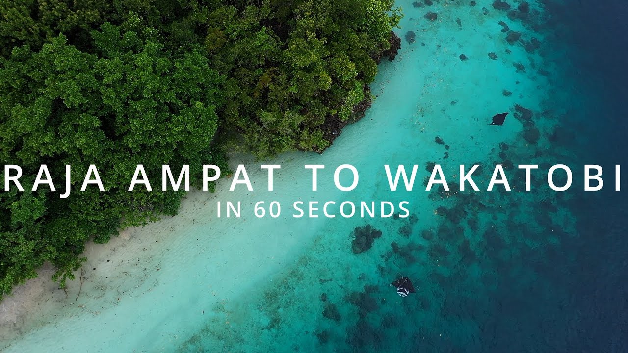Raja Ampat to Wakatobi Snorkel Safari in 60 Seconds