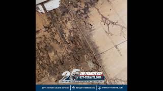 Subterranean Termites Floor Damage