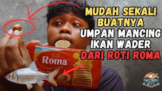 Cara Mudah Membuat Umpan Mancing Ikan Wader dari Roti Roma di Sungai Parit Rawa Selokan Bisa