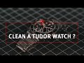 TUDOR Tutorial #7: How To Clean your Tudor Watch?