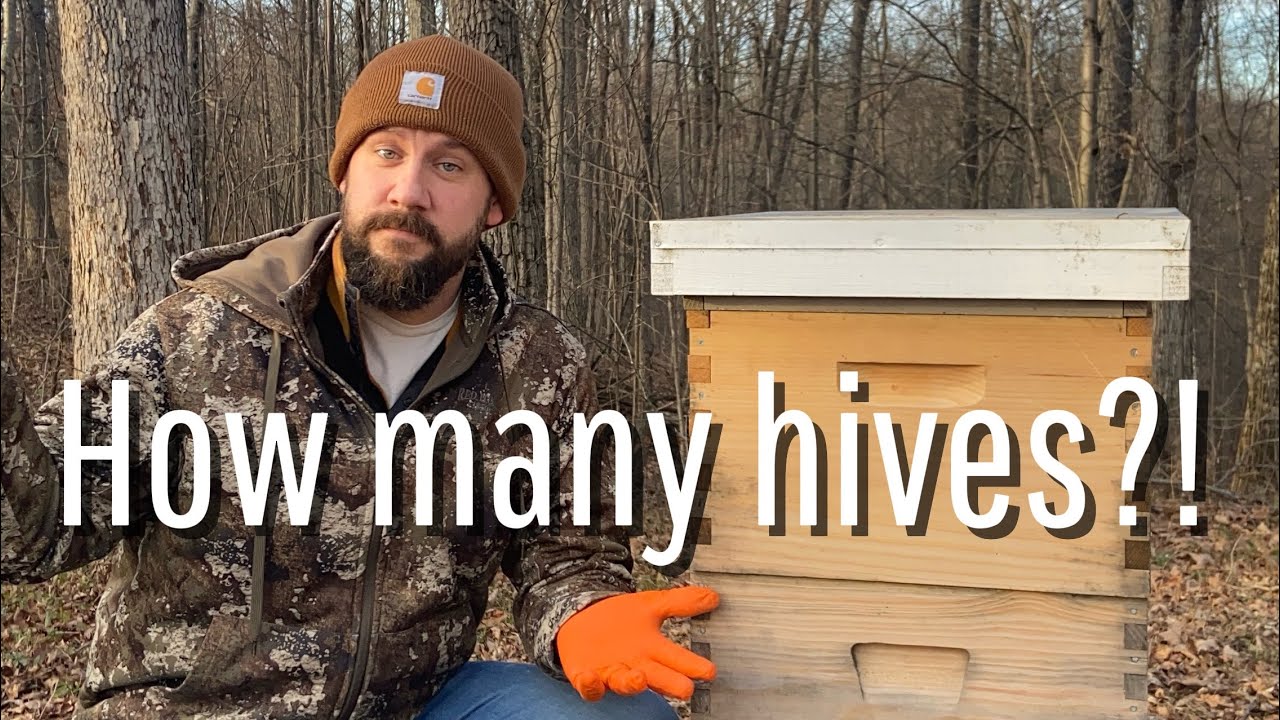 My Journey - Becoming a Commercial Beekeeper - YouTube