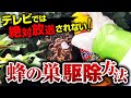 テレビでは絶対放送されない蜂の巣駆除の方法part1