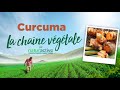 La chane vgtale naturactive  le curcuma bio