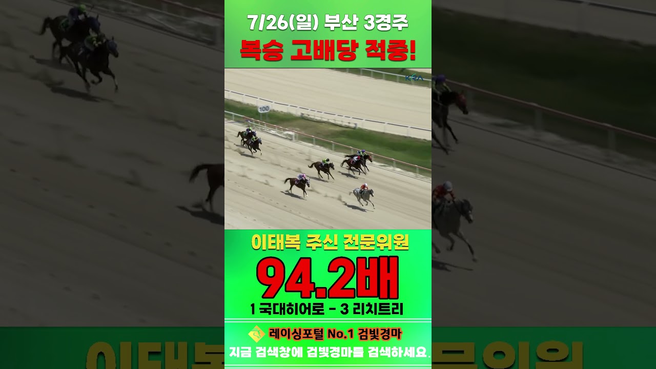 [부산 경마] 7월 26일 일요 3경주 이태복 주신 전문위원 복승 고배당 적중 #한국마사회 #horse #경마 #automobile #하이라이트 #riding #게임 #racing