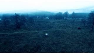 Aerial Drone Footage View: Horror Royalty-Free Stock Footage