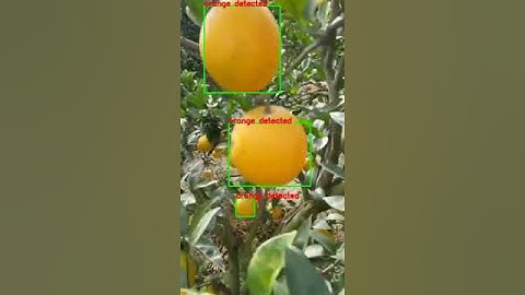 Orange fruit detector with just OpenCV