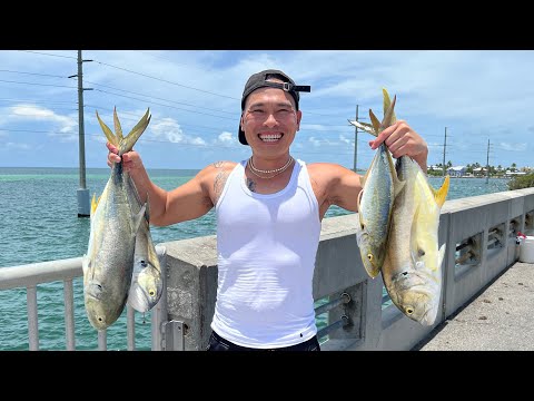 Video: Câu cá ở Key West, Florida: Hướng dẫn đầy đủ