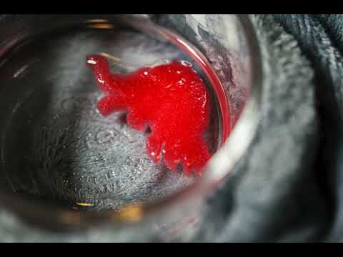 Unmasking Mystery Pills: Pill Wizard's Shocking Reveal!
