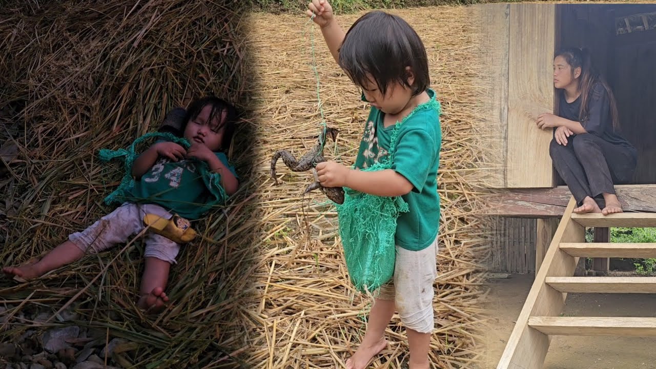 Full video of the time the mother and daughter got lost, the girl went ...