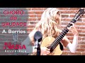 Choro da Saudade by Agustín Barrios performed by NADiA Kossinskaja on Menno Bos Guitars