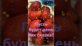 С добрым утром!🌞🌝Отличного дня! Музыкальная открытка#shorts