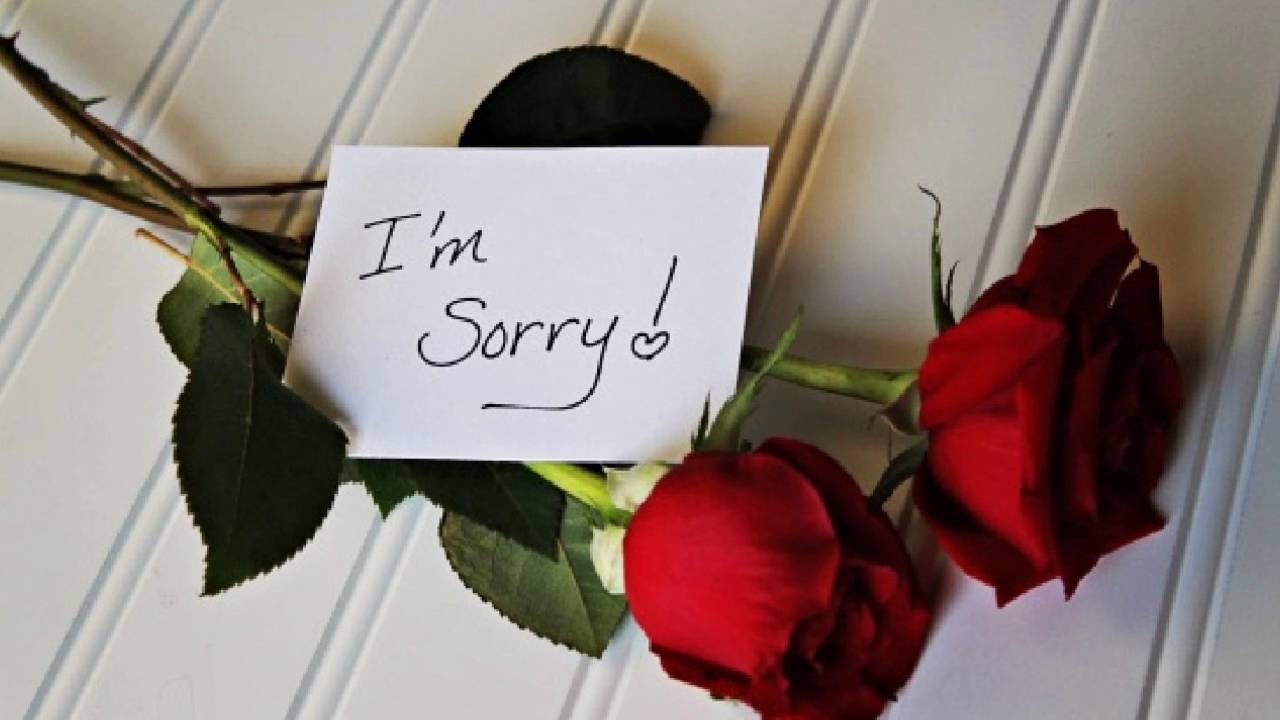 Apology Quotes – Apologize Quotes - YouTube