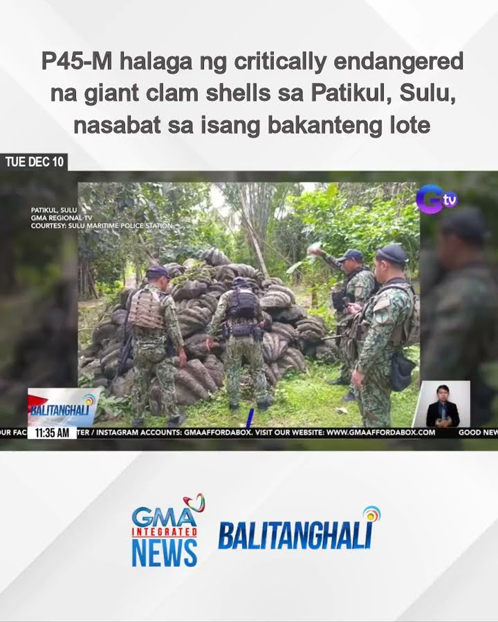 P45-M halaga ng critically endangered na giant clam shells, nasabat... | Balitanghali