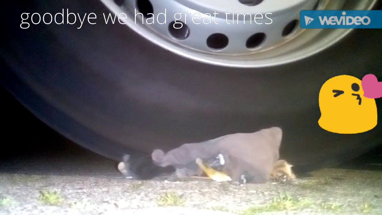 following her sister i am back in 10 days