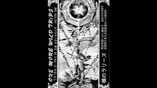 Les Rallizes Dénudés - Live at Meiji Gakuin University 13.7.1974 (Alternate Soundboard Source)