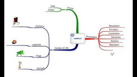 iMindMap: Focus in and Out