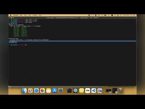 Git : Check Status