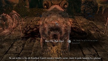 Enderal 22 (The Lion