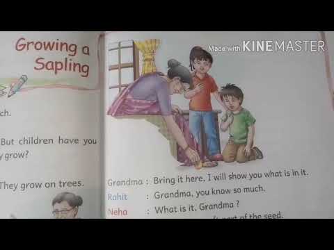 English/std-1 /ch-8 /Growing a sapling - 2
