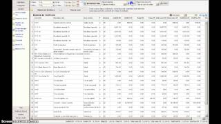 Generare Rapoarte - Balanta De Verificare