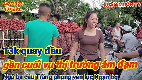 giá vải 4/7/2023 tại phong vân lục Ngạn bg gần cuối vụ giá hàng trong nước không quá 13.000/1kg