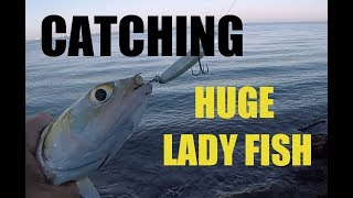 Catching Big Gigantic Lady Fish From Shore on Lures 