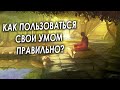 Как пользуемся умом правильно? Сатсанг. Ретрит. Просветление.