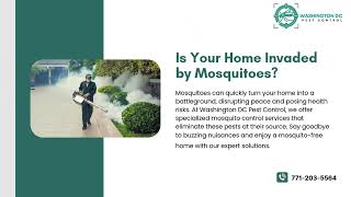 Washington DC Pest Control