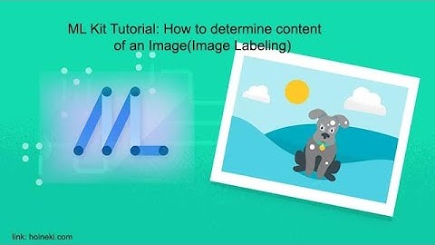 Demo | ML Kit Tutorial: How to determine content of an image(Image Labeling)
