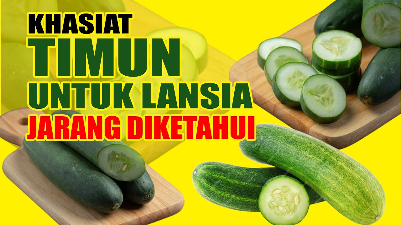 Rahasia Timun untuk Lansia: Manfaat Kesehatan yang Jarang Diketahui!