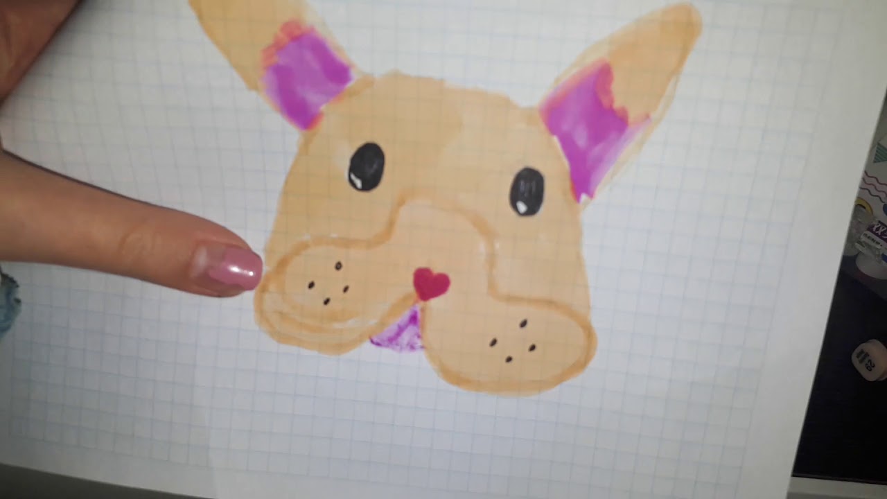 вечер с сквиши собачками❤🐕