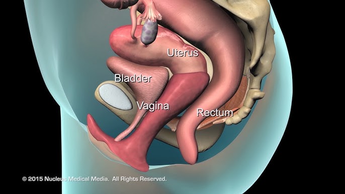 Qol anus va vaginada