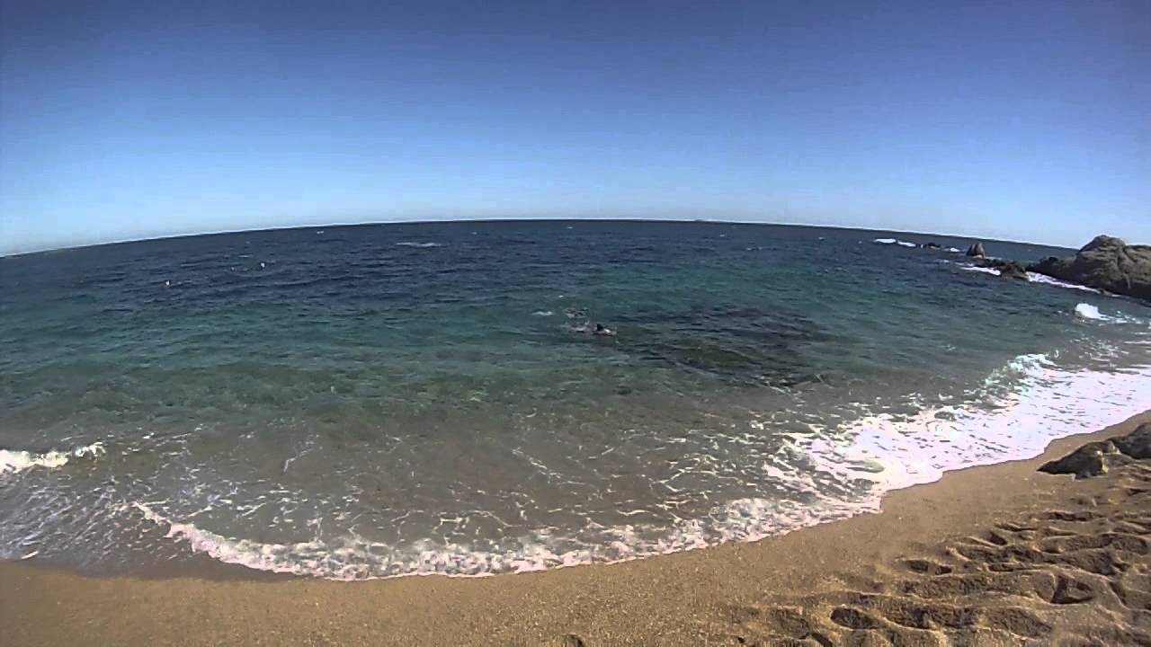 sortie nage en mer 006