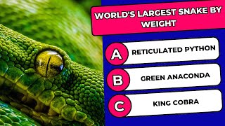 🧠Let's Check Your General Knowledge on Deadliest Animals | Animal Quiz
