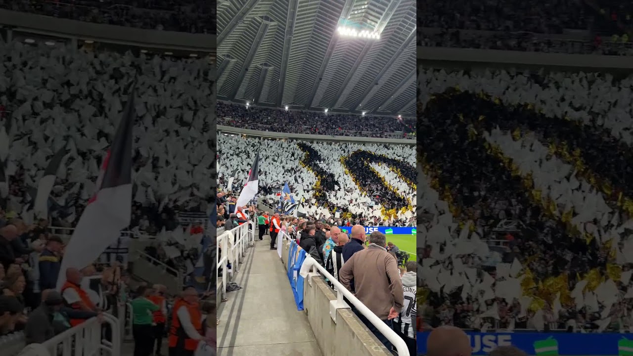 Plenty more nights like these to come Geordies